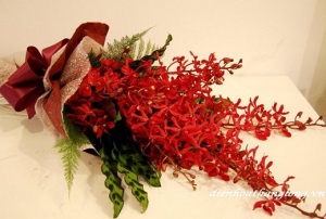 Bó hoa phong lan đỏ